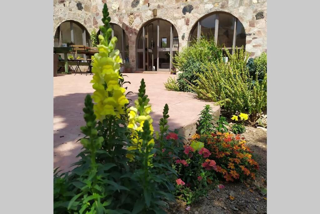 Eilat Stone - Patio אבן אילת - פטיו Exterior foto