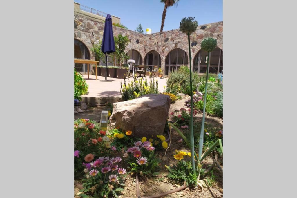 Eilat Stone - Patio אבן אילת - פטיו Exterior foto