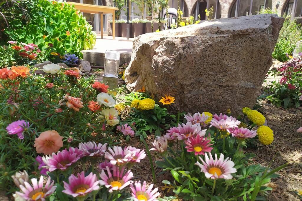 Eilat Stone - Patio אבן אילת - פטיו Exterior foto