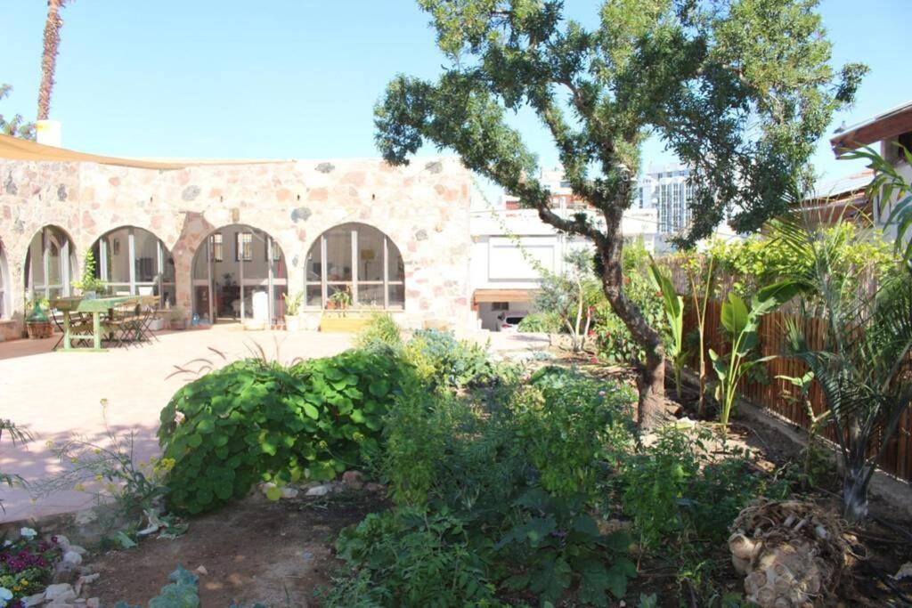 Eilat Stone - Patio אבן אילת - פטיו Exterior foto