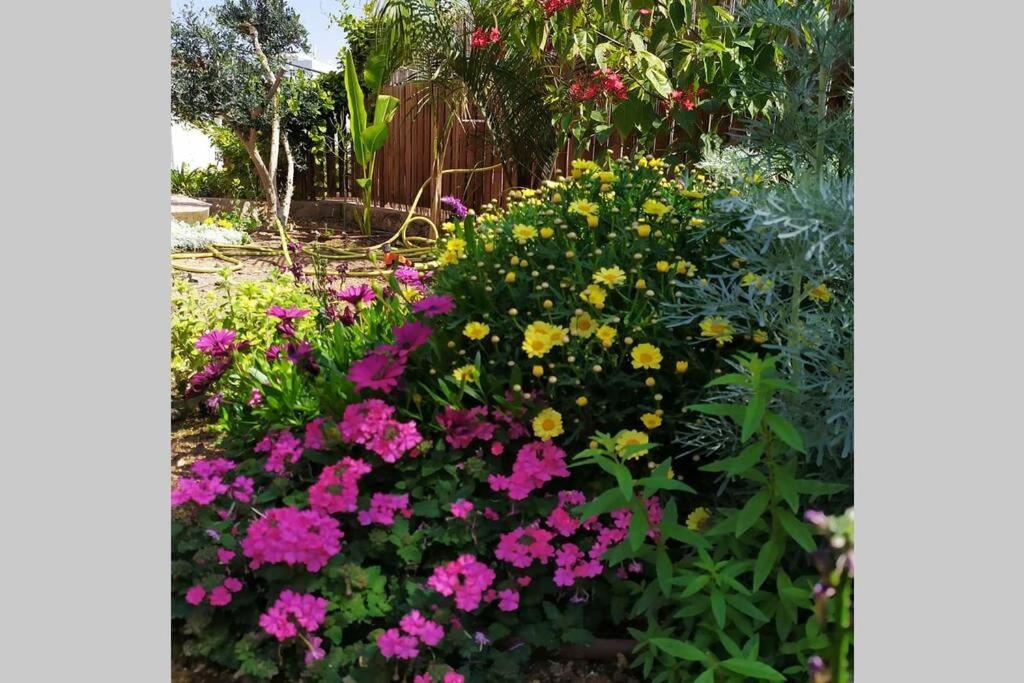 Eilat Stone - Patio אבן אילת - פטיו Exterior foto